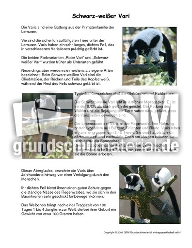 Schwarz-weißer Vari-Steckbrief.pdf